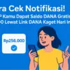 DANA Kaget