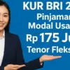 KUR BRI 2025