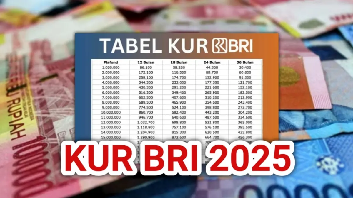 Pinjaman KUR BRI 2025 Rp250 Juta, Strategi Jitu UMKM Kembangkan Bisnis di Era Kompetitif! KUR BRI 2025