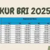 KUR BRI 2025