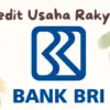 KUR BRI