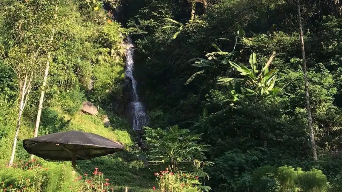 Curug Jami
