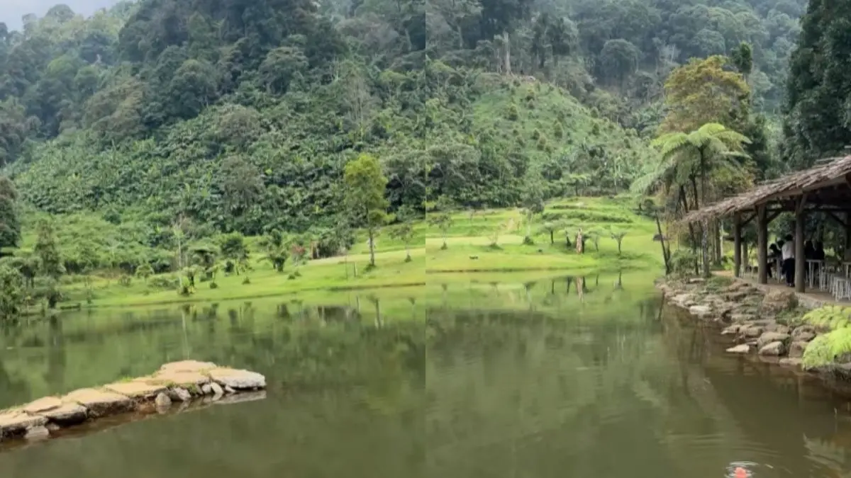 Pesona Wisata Bogor, Menyusuri Keindahan Alam Desa Cisadon yang Tersembunyi Desa Cisadon