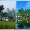 Dusun Bambu