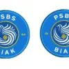 Pemain Asing PSBS Biak
