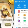 Saldo DANA Langsung Cair