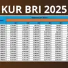 KUR BRI 2025