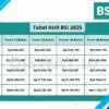 KUR BSI 2025