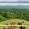 Mini Ranch Ciamis