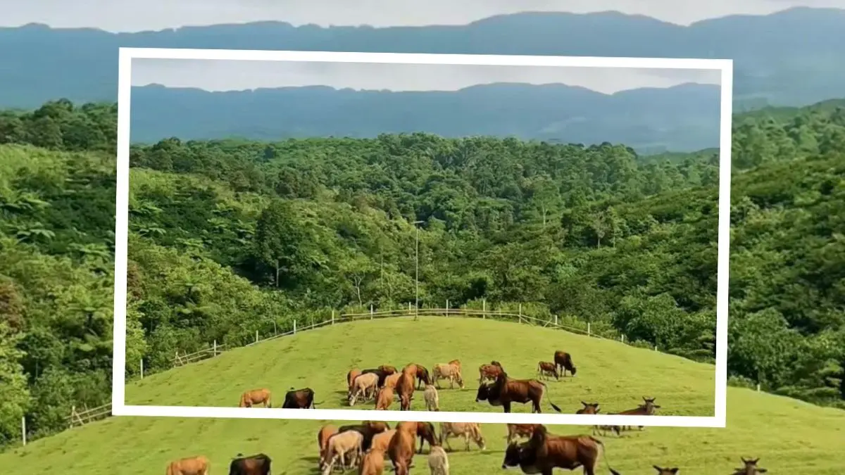 Mini Ranch Ciamis