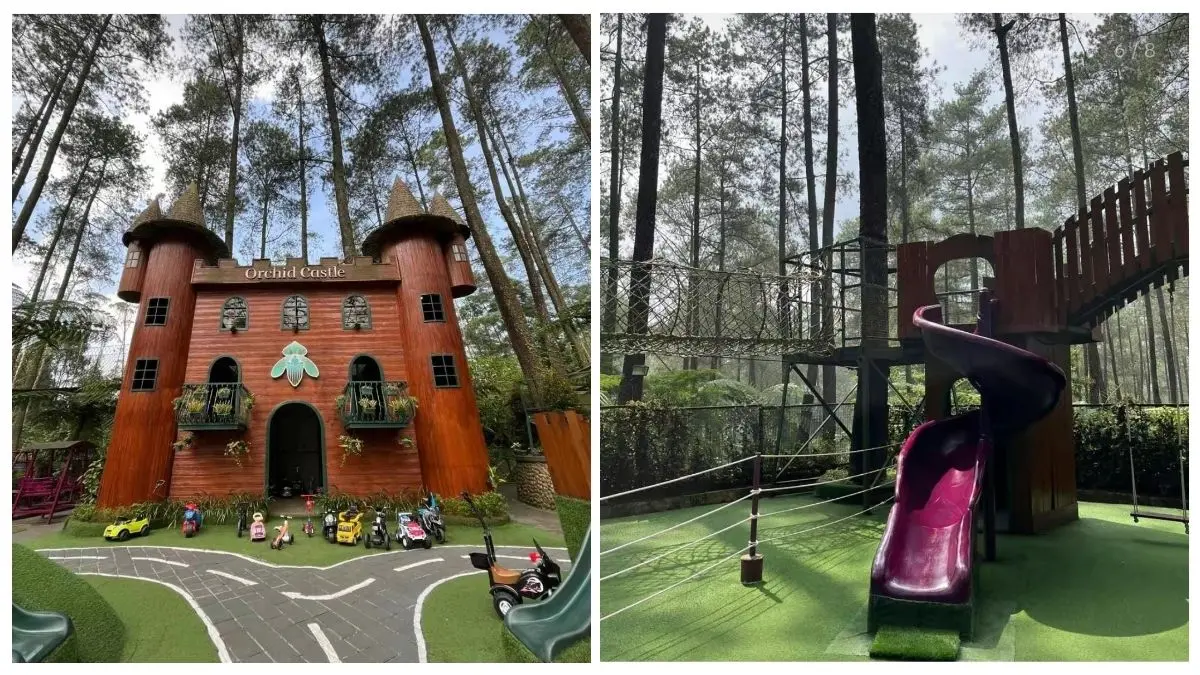 Liburan Keluarga? Ini Alasan Orchid Forest Cikole Jadi Pilihan Nomor 1 Orchid Forest Cikole