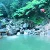 Pangojayyan Caimandala