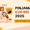 KUR BRI 2025