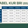 KUR BRI