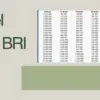KUR BRI