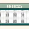 KUR BRI