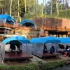 Talaga Pineus Camp