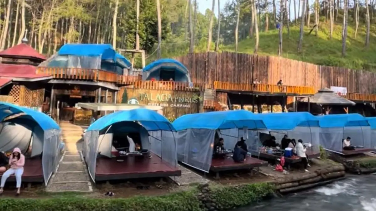 Talaga Pineus Camp