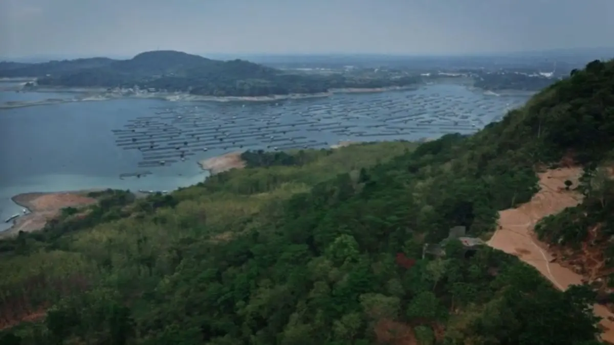 Wisata Purwakarta, Jelajahi Tebing Boyer dengan Pemandangan Alam yang Mempesona Tebing Boyer