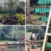 Telaga Warna