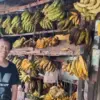 Tukang pisang di Pasar Singaparna
