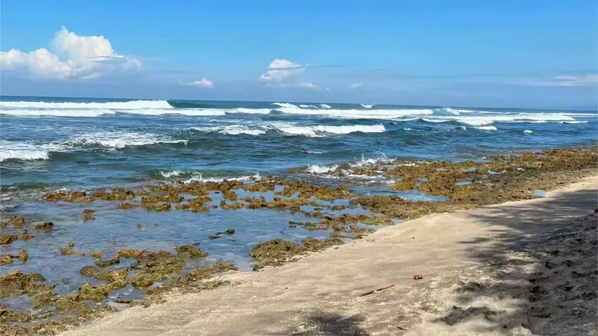 Pantai Sindangkerta