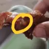 Daging ayam MBG Berbelatung