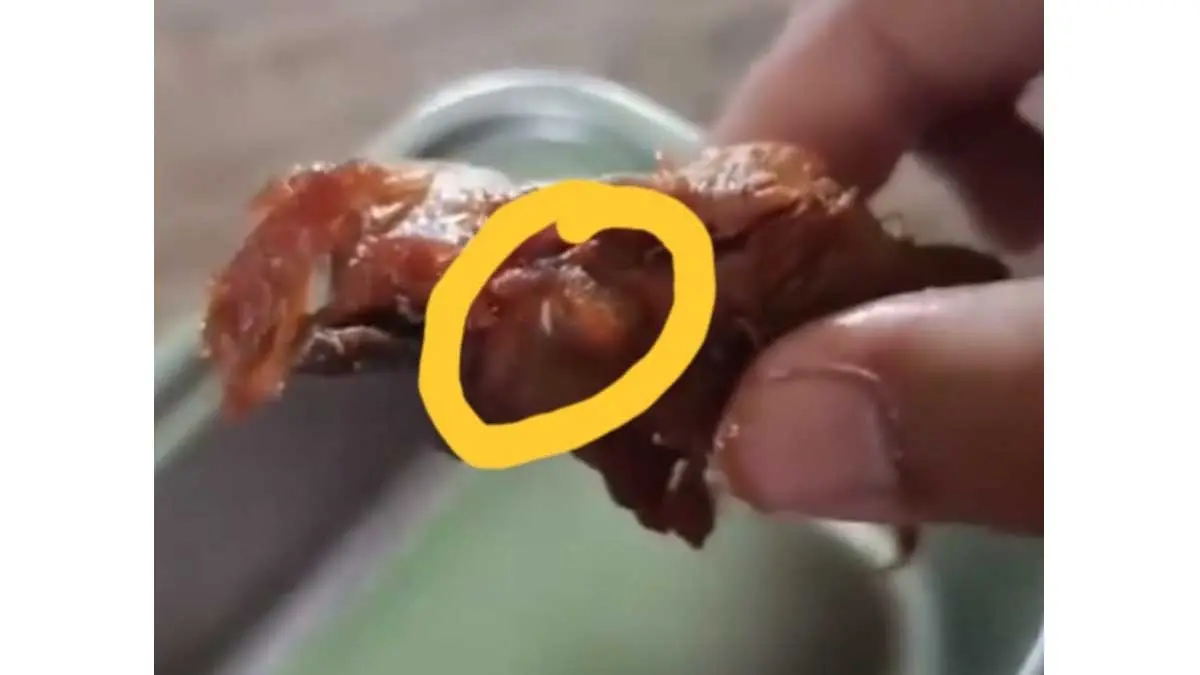 Daging ayam MBG Berbelatung
