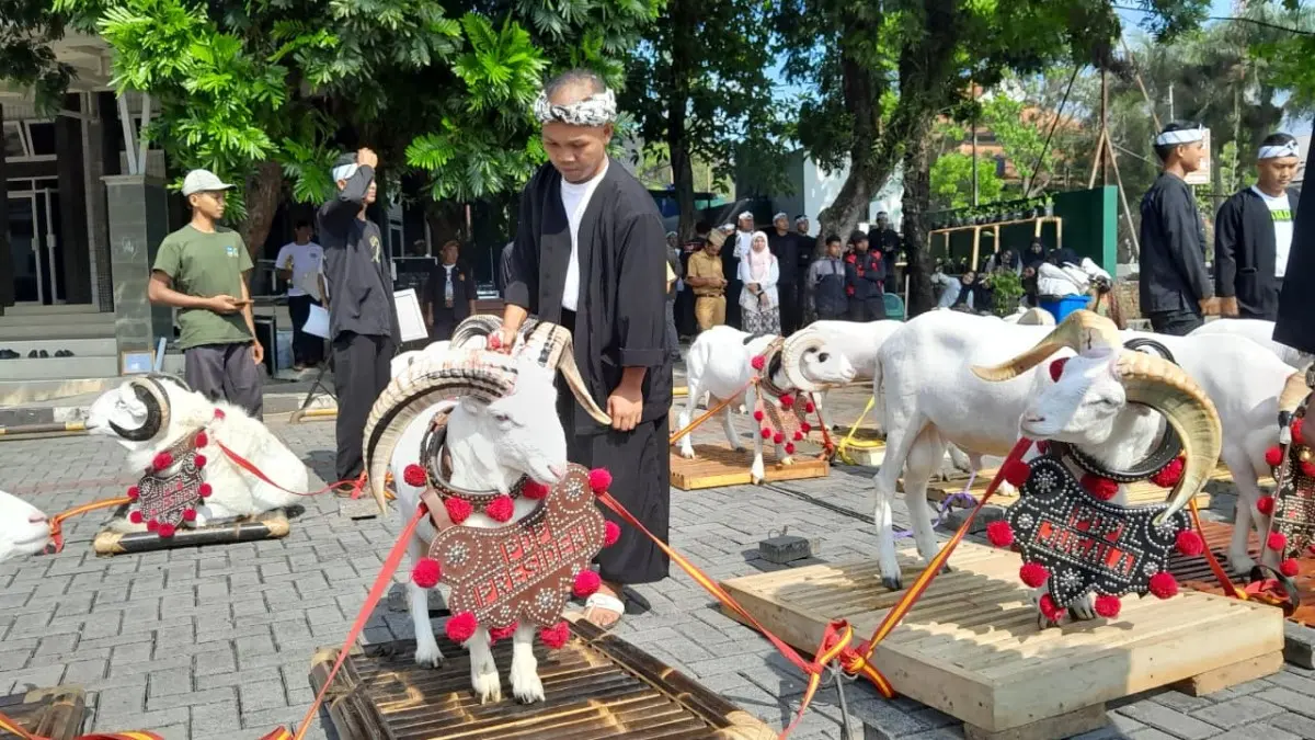 Kontes Domba Piala Presiden 2025