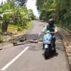 pergeseran tanah di kabupaten tasikmalaya