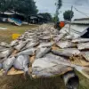 Libur Akhir Tahun di Pangandaran