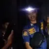 Ular King Kobra Bermain-main di Parungsari