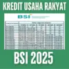 KUR BSI