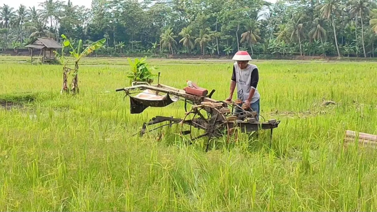Mesin Traktor di Pangandaran
