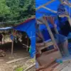 tambang emas di salopa tasikmalaya