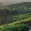 Desa Taraju