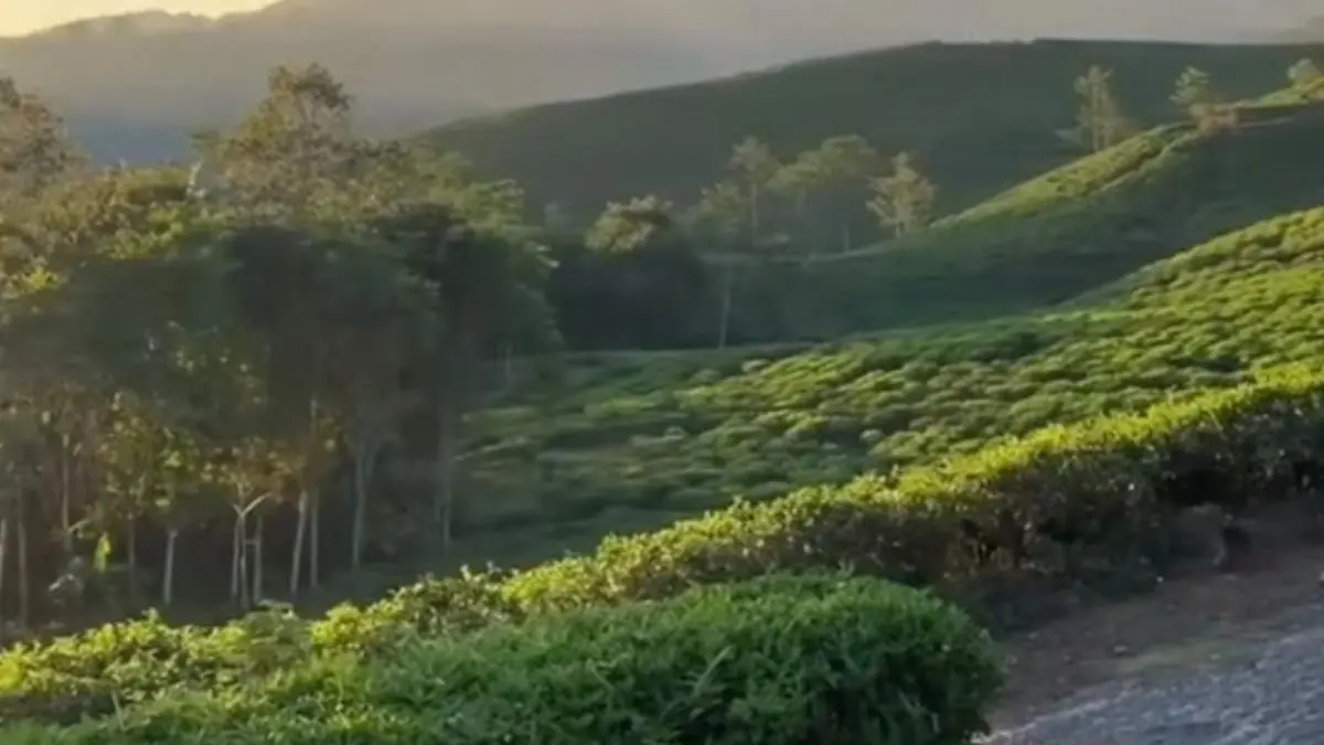 Desa Taraju