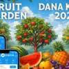 Cara klaim saldo DANA gratis