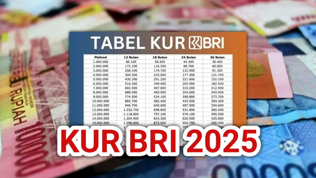 Dapatkan Sekarang! Pinjaman KUR BRI 2025 Rp350 Juta, Cek Persyaratan Dan Skema Angsurannya KUR BRI 2025