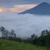 Buffalo Hill Garut