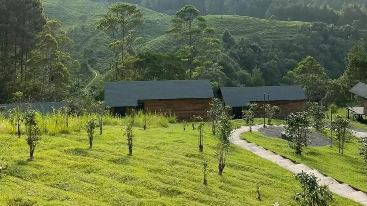 Cabinite Pangalengan