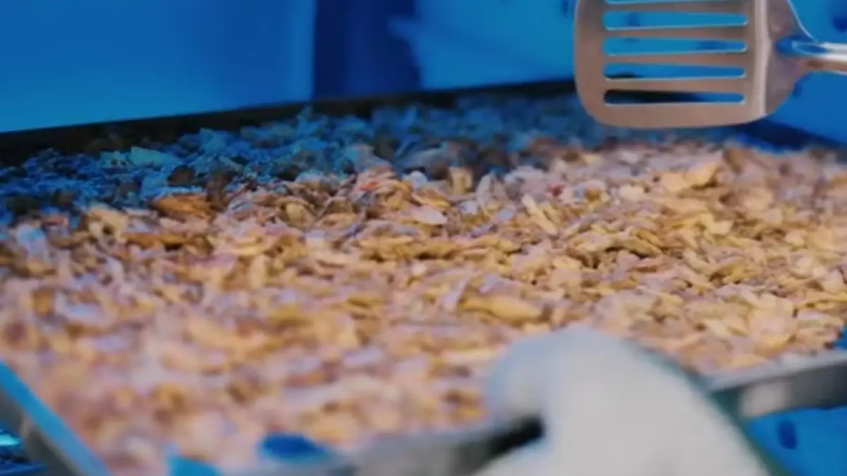 Dari Dapur Rumahan ke Brand Populer: Perjalanan Mengangkat Kentang Mustofa Jadi Produk UMKM Yang Melesat UMKM