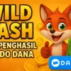 Apk Penghasil Saldo DANA Terbukti Membayar