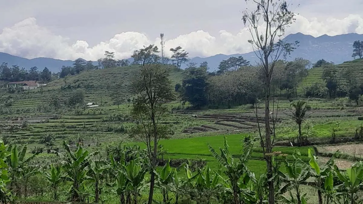 Pembebasan Lahan Tol Getaci di Garut Baru Tuntas Lima Desa, Sebentar Lagi Garap Desa Cangkuang Lahan Tol Getaci di Garut Jawa Barat