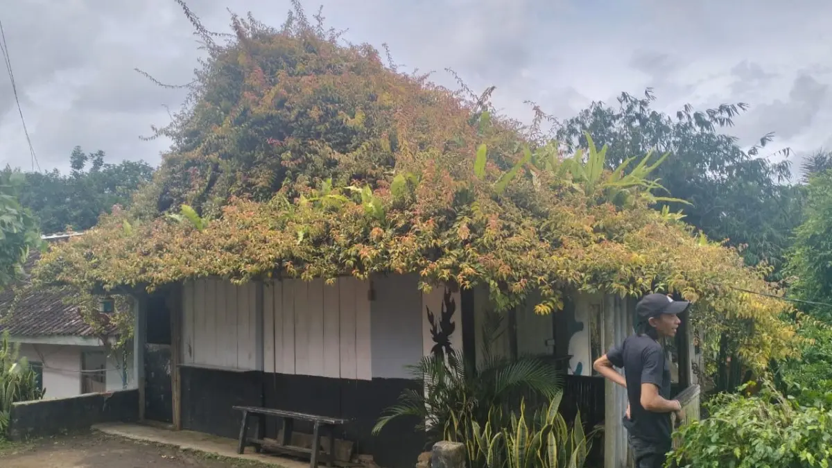 Rumah warga Bantarkalong Tasikmalaya Ditanami Tanaman Bintang