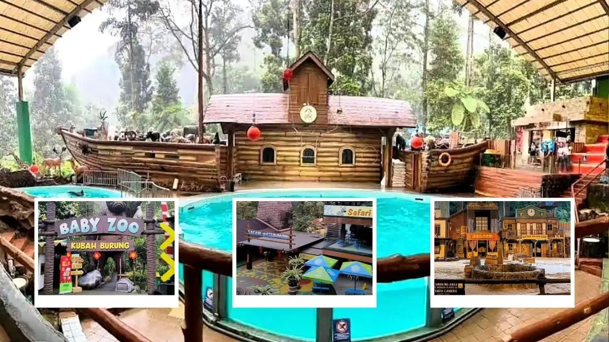 Mau Wisata Seru di Jawa Barat? Taman Safari Bogor Punya Harga Tiket Masuk Spesial Taman Safari