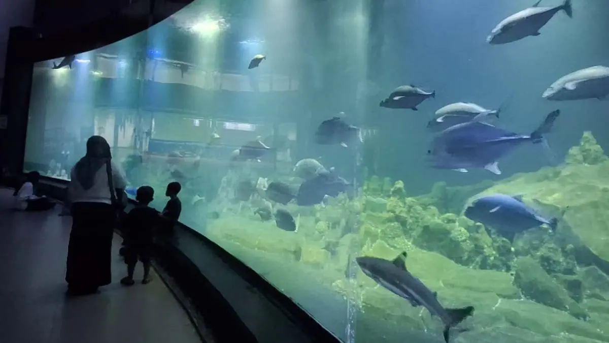 Rp 700 Miliar Tak Lagi Berputar di Priangan Timur, Imbas Pelarangan Study Tour larangan study tour di jawa barat