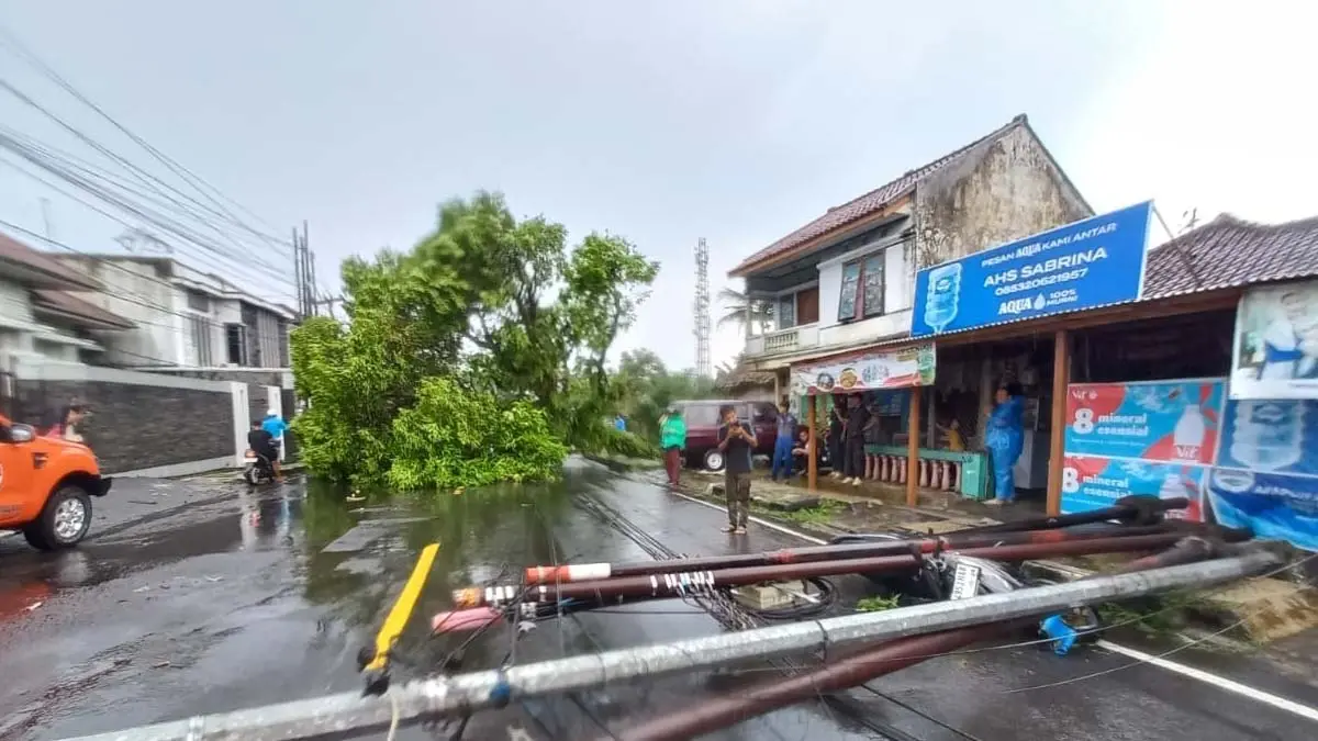 4 Pohon Tumbang Menimpa Rumah dan Motor di Jalan Mochamad Hatta Kota Tasikmalaya pohon tumbang di Kota Tasikmalaya