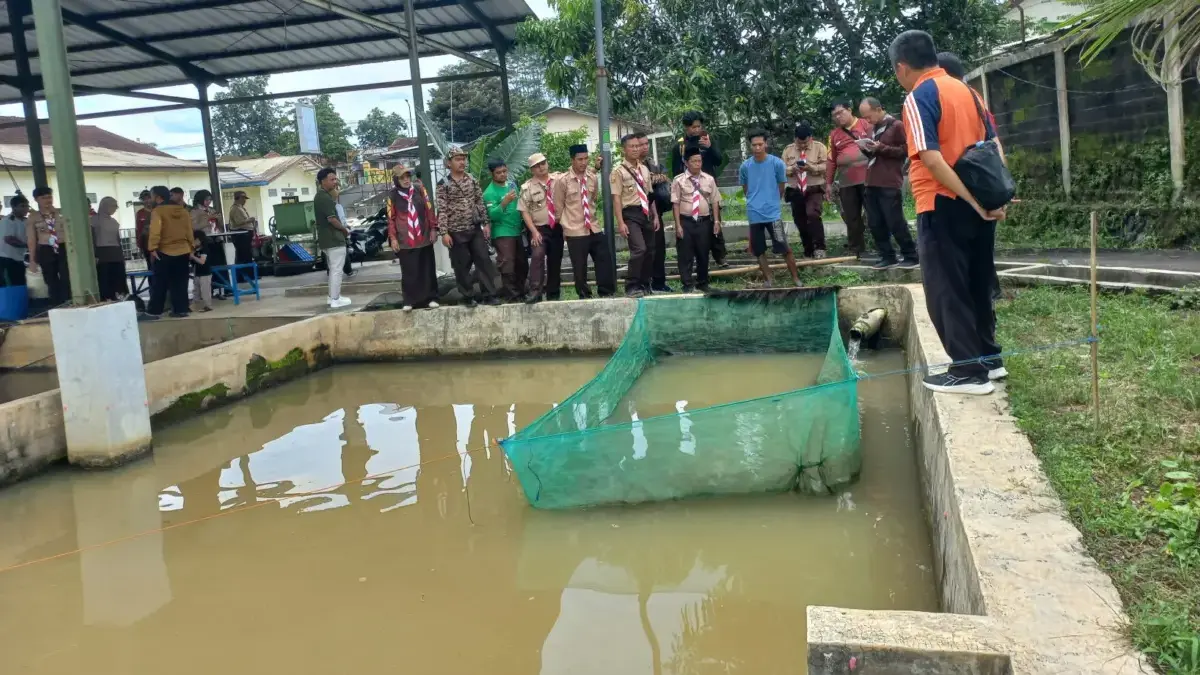 Dari Tenda ke Kolam, Pramuka Kota Tasikmalaya Belajar Cari Cuan dari Budi Daya Ikan Pramuka Kota Tasikmalaya