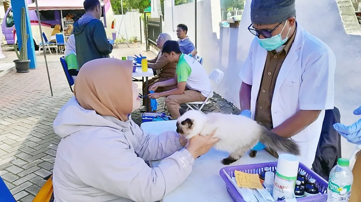 Antisipasi rabies garut, vaksinasi